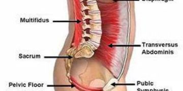 Core Series 1 of 3: Abdominal Core